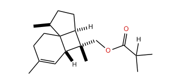 10-epi-Italicen-12-yl isobutyrate